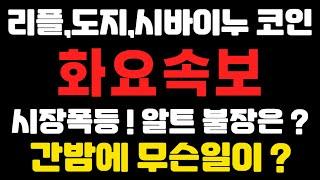 [리플코인,도지코인,시바이누코인] 화요속보 ! 시장폭등 ! 알트 불장은 ? 간밤에 무슨일이 ? 뉴스정리 !  (불독코인,비트코인,급등코인,코인단타)