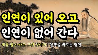 세상 일은 바로 그런 것이다 | 인생을 바꾸는 명언 | 발타자르 그라시안, 석가모니, 채근담, 장자, 도덕경, 쇼펜하우어 | 인연이 있어 오고, 인연이 없어 간다