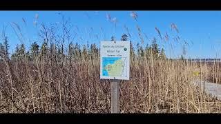 Random videos.  Spring Sounds at the Marsh.