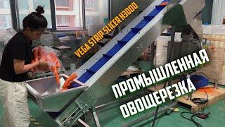 Промышленная овощерезка для нарезки корейской моркови Vega Strip Slicer H3000 | Нарезка овощей, сыра