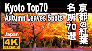 京都の紅葉70選 Kyoto 70 Top Autumn Leaves  京都観光 京都旅行 秋の京都 Japan trip 紅葉の名所 京都案内 Travel Guid Discover