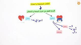 مراجعات عين | الافعال الصحيحة والمعتلة