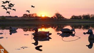 Opening Weekend Duck Hunt on a Farm Pond | Geese Were Everywhere