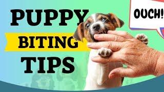 Puppy Biting Tips For New Puppy Owners