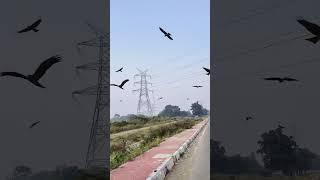 teri yaadon me #bollywood #music #song #arijitsingh #love #viral #travel #viralmusic
