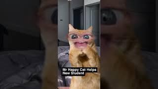 Mr Happy Cat Testimony/2022