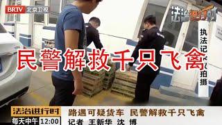 民警解救千只飞禽《法治进行时》20190505| BRTV科教频道