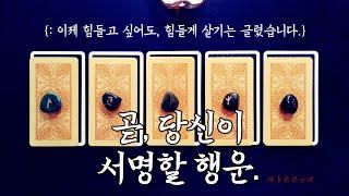 [타로카드] ‘곧 당신이 서명할 행운.’