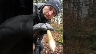 Das könnte dein LEBEN RETTEN #feuerbohren #survivalskills #survival #feuermachen #survivalhacks