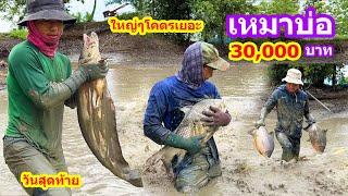 เหมาบ่อ 30,000บาท (วันสุดท้าย) ทั้งใหญ่ทั้งเยอะคุ้มสุดๆ | Ep.102