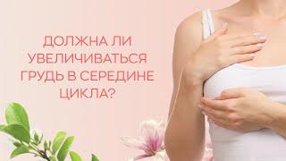  Должна ли увеличиваться грудь в середине цикла?