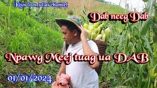 Npawg Meej tuag ua dab 01/01/2025