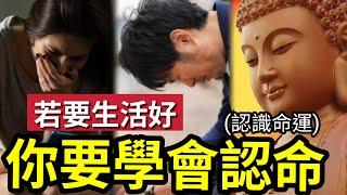 #佛禪 你認命嗎？人若能「學會認命」反而能越活越好！得他人尊敬「怨家、鬼魅、毒藥、水火」不能再加害！一生隨緣~隨緣一生~~