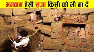 भगवान ऐसी सजा किसी को न दे ! when animals rescued from worst situations