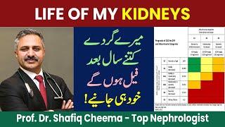 What is Life of my Kidneys ?? #ckd #egfr #proteinuria #drshafiqcheema