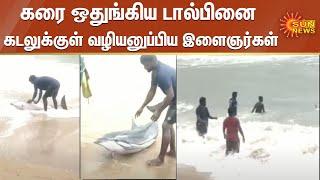 கரை ஒதுங்கிய டால்பினை கடலுக்குள் வழியனுப்பி வைத்த இளைஞர்கள் | Dolphin | Mamallapuram