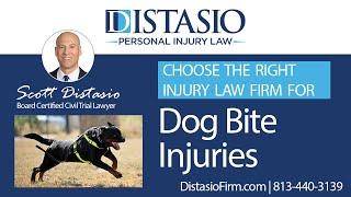 Florida's Best Dog Bite Lawyers