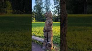 Карелия 2024. Олонец. Городской парк. Июль 2024г (Часть 1) #карелия #олонец #парк