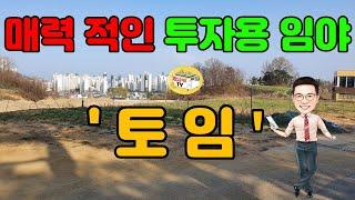 매력적인 투자 용 임야 (토 임)