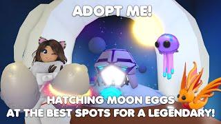 Hatching MOON EGGS at the BEST spots for LEGENDARY pets! BUT be CAREFUL FOR THIS BUG! in Adopt me!