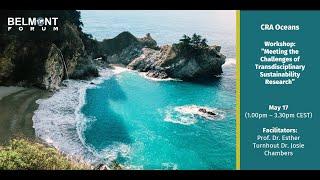 CRA Oceans Workshop: ”Meeting the Challenges of Transdisciplinary Sustainability Research”