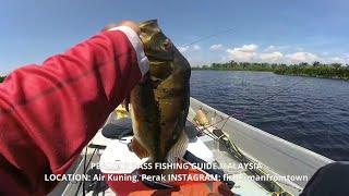 Monster Peacock Bass Lake Air Kuning Perak Soft Plastic Fishing