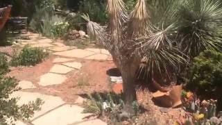 Sedona Sanctuary - Home for Sale