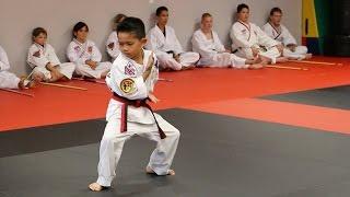 Dylan's Black Belt Journey