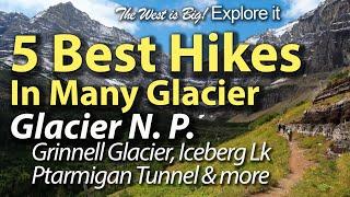 5 Best Hikes in Many Glacier In Glacier Nat. Park- Grinnell Glacier, Iceberg, Ptarmigan Tunnel More