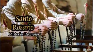 ️Santo Rosario: Misterios Dolorosos (martes y viernes).