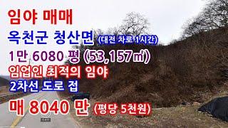 임야매매 옥천군 2차선 도로접한 임야매매