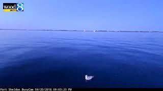 AMAZING - Meteor captured by webcam on buoy on Lake Michigan