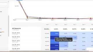 Google Analytics Cohort Analysis