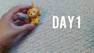 decluttering challenge days 1-7