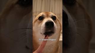 Top 10 Gooby Woobies (very scary) #dog #shiba