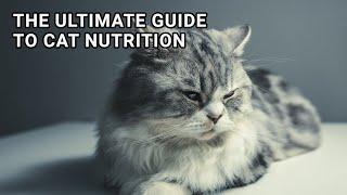 The Ultimate Guide to Cat Nutrition