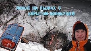 Зимний поход на охотничьих лыжах и корытом-волокушей и ночевка в зимнем лесу.