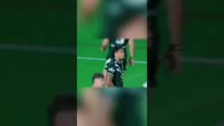 Warriors v Raiders – Round 12, 2025（Wonderful fragments）#nrl #nzwarriors #DWZ #raiders #rugby