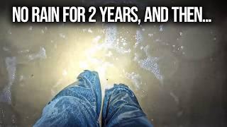 This 10-Minute Storm Changed Everything for My Desert Ranch