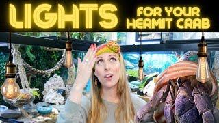 Hermit Crab Lights to use in your tank! | By Crab Central Station