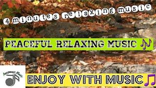 Peaceful music | Mind relax music | 4 minutes relaxing music | Calmful music | Anosmass music