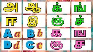 உயிர் எழுத்துக்கள் || மெய் எழுத்துக்கள் || க் ங் ச் || English Alphabets || A for Atlas || க ங ச ஞ ட