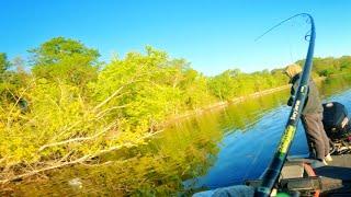 Fishing a Bass Tournament with Nothing to LOSE! (Mississippi River)