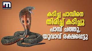 കടിച്ച പാമ്പിന് തിരിച്ച് രണ്ട് കടി കൊടുത്ത് യുവാവ്; പാമ്പ് ചത്തു, യുവാവ് രക്ഷപ്പെട്ടു | Bihar