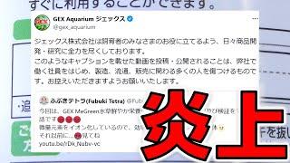 Xが炎上している件について。GEXが好きだから忖度せずに言いました。私が馬鹿です。本当に申し訳ありませんでした【ふぶきテトラ】