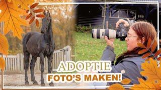 HOE maken wij ADOPTIE FOTO'S? || Paardzoektbaas