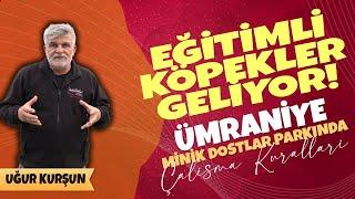 EĞİTİMLİ KÖPEKLER GELİYOR | Ümraniye Minik Dostlar Parkında Çalışma Kuralları