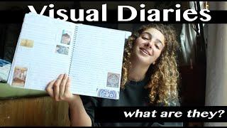 What is a SCHOOL Visual Diary/Art Journal? (CAPS curriculum)