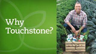 Why Touchstone Essentials? Celebrating 10 Years of Health & Wellness