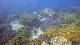 Snorkeling in Mabul Island 2020